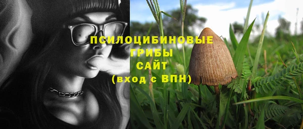 мдпв Нефтегорск