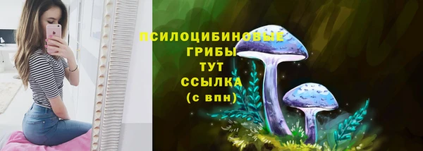 СК Нефтекумск