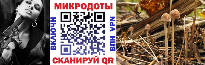 Купить где Жуков Галлюциногенные грибы мицелий
